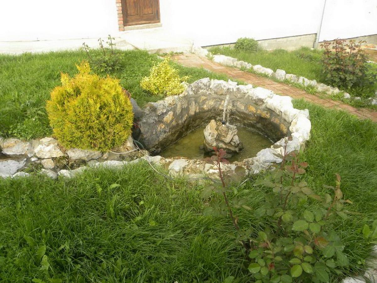 مبيت وإفطار ديسبوتوفاتس Panorama Lomnica المظهر الخارجي الصورة