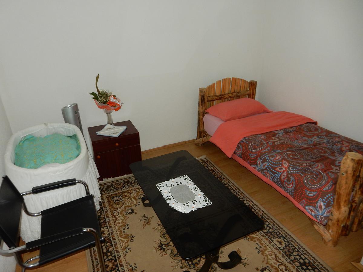 مبيت وإفطار ديسبوتوفاتس Panorama Lomnica المظهر الخارجي الصورة